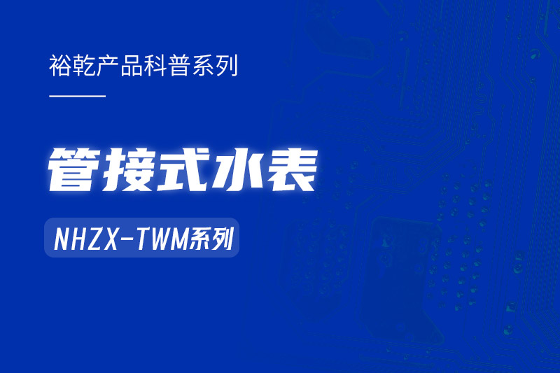 管接式水表NHZX-TWM系列：解析其在能耗監(jiān)測系統(tǒng)中的關鍵作用！